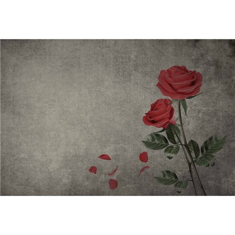 ROSES 02 ROSES 02
