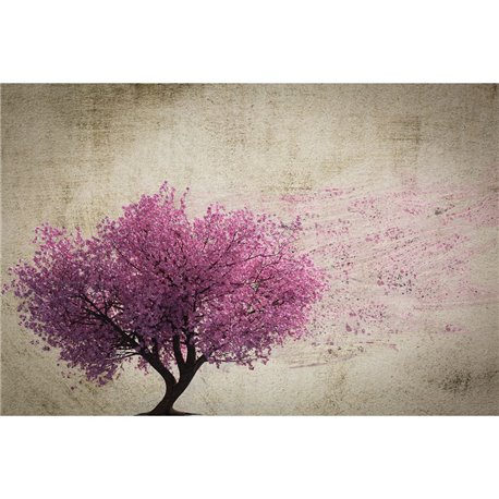 SPRING WIND SPRING WIND