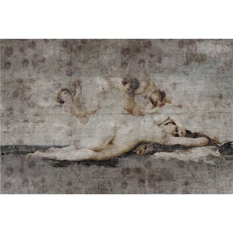 VENERE 01 VENERE 01