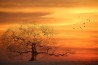 ARBRE I LA POLS 02