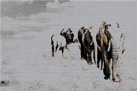 ELEPHANT POSING 02