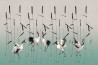 STAGNO 01