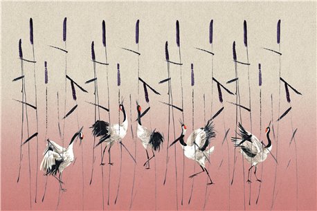 STAGNO 02