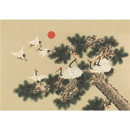 UKIYO 7900070 UKIYO 7900070
