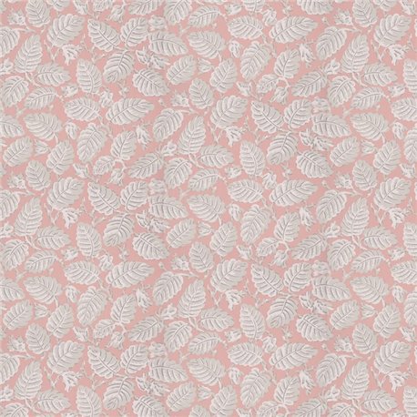 Beech Nut Delicate 0260BEDELIC Beech Nut Delicate 0260BEDELIC