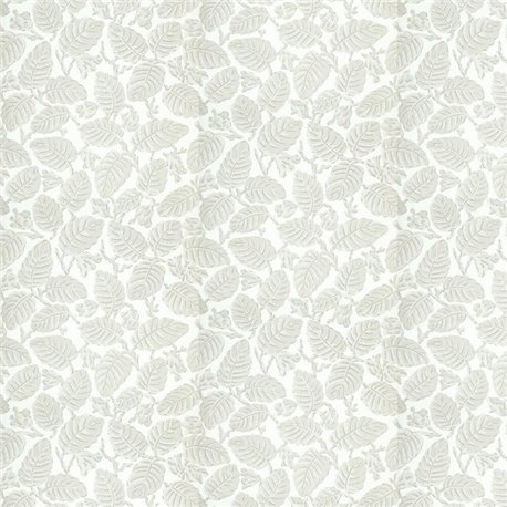 Beech Nut Warm Grey 0260BEWARMZ Beech Nut Warm Grey 0260BEWARMZ