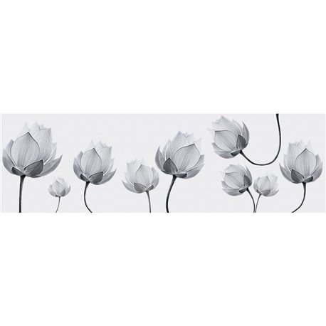 DIAPHANOUS INKDN1301 DIAPHANOUS INKDN1301