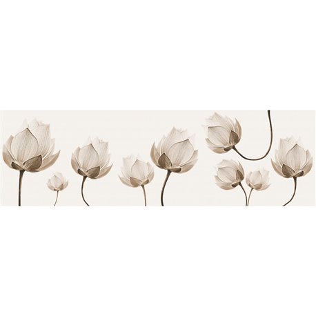 DIAPHANOUS INKDN1302 DIAPHANOUS INKDN1302