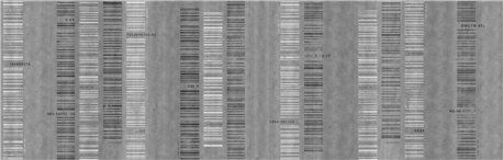 WALL CODEX INKWX1301