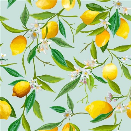 LIMONERO LIMONERO