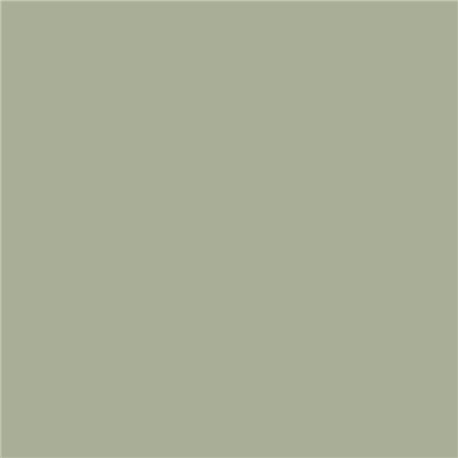 Boringdon Green N-295 Boringdon Green N-295