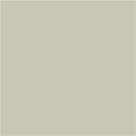 French Grey N-113 French Grey N-113