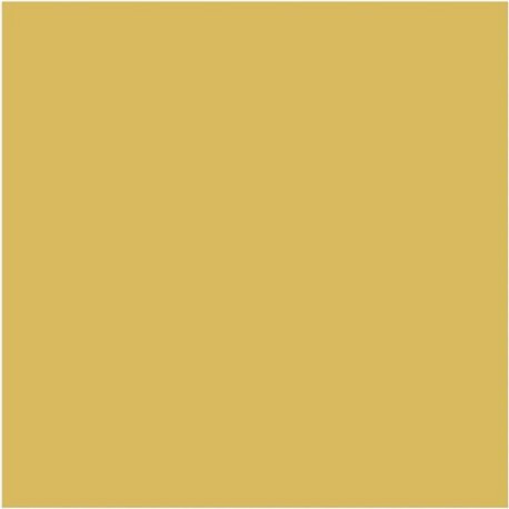 Light Gold N-53 Light Gold N-53