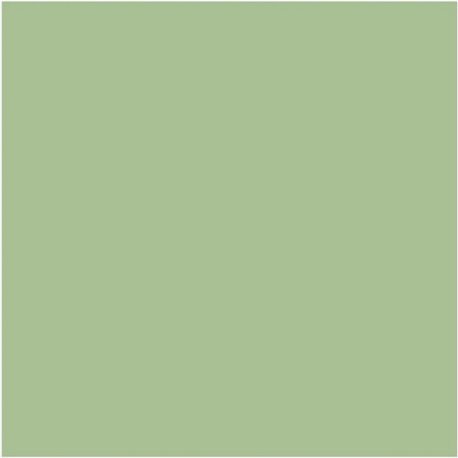 Pea Green N-91 Pea Green N-91