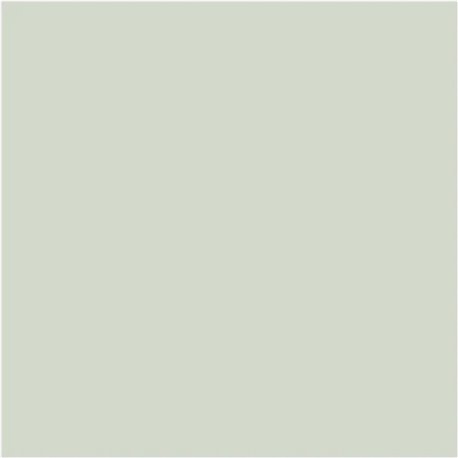 Pearl Colour N-100 Pearl Colour N-100