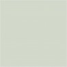 Pearl Colour N-100