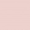 Pink Slip N-220