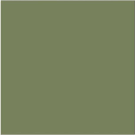 Sage Green N-80 Sage Green N-80