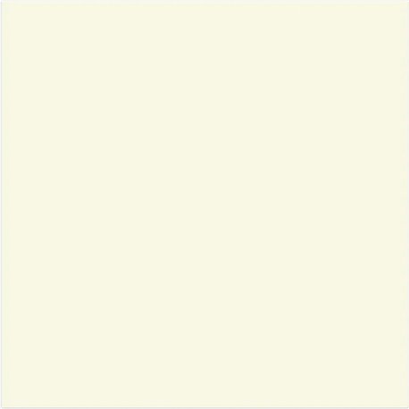 White Lead N-74