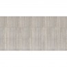 61136-2 B CELTICO-GREY FONDO-CASSERO