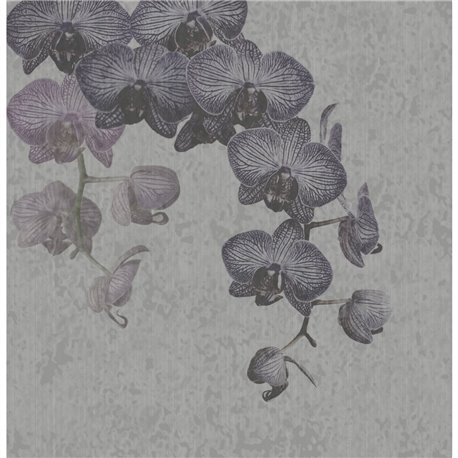 61206-ORCHIDALES-GREY 61206-ORCHIDALES-GREY