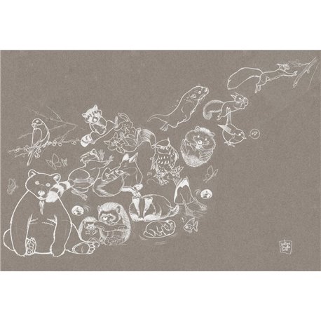 69899-4 ZANELLA JUMP-PAPER-CHALK 69899-4 ZANELLA JUMP-PAPER-CHALK