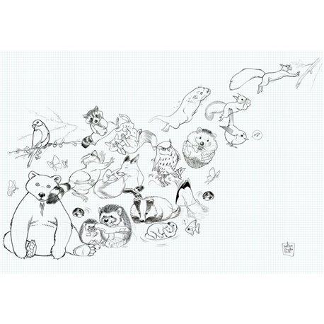 69899-5 ZANELLA JUMP-NOTEBOOK 69899-5 ZANELLA JUMP-NOTEBOOK