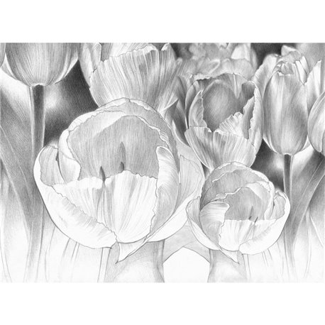 69993-1 STILLNESS CRISTINA-IOTTI 69993-1 STILLNESS CRISTINA-IOTTI