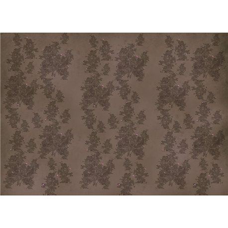 70873-2 B UP-STUDIO LOCATION-DISLOCATION-BROWN 70873-2 B UP-STUDIO LOCATION-DISLOCATION-BROWN