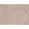 72912-3 A PRAGMATICO-TOFFEE-NUT