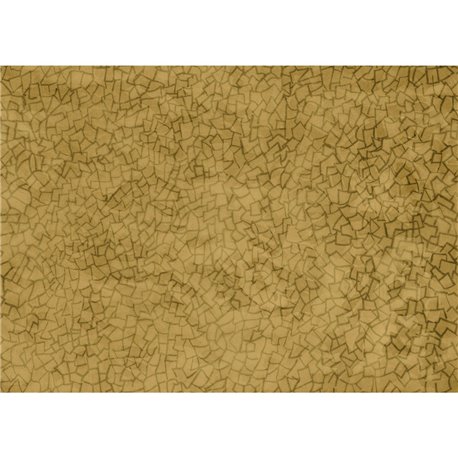 72912-4 B PRAGMATICO-GINGER 72912-4 B PRAGMATICO-GINGER