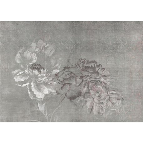 64068-1 A PLUMIER-GREY 64068-1 A PLUMIER-GREY