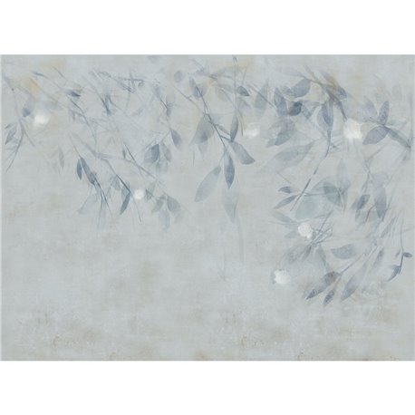 75437-2 COLD-WILLOW 75437-2 COLD-WILLOW