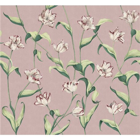 79318-2A CORDELIA-POWDER-ROSE-BIG 79318-2A CORDELIA-POWDER-ROSE-BIG