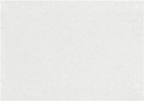 56571-TEX-WHITE-FONDO
