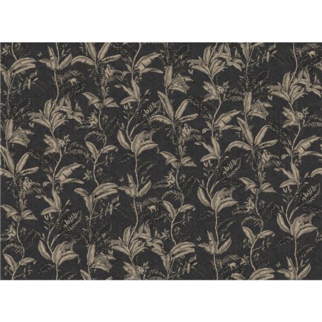 75158-4 DARWIN-NOIR 75158-4 DARWIN-NOIR