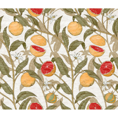 76724-1 CITRUS-COCOA