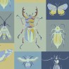 BUGS ACG-20 B