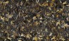 RUST ACG-16