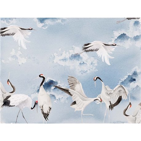 DANCINGCRANES AO-16 DANCINGCRANES AO-16