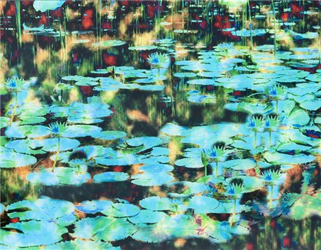 BLACK POND CH-03