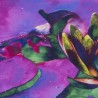 MIND COLORS CH-05