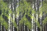 SPRING FOREST CH-08