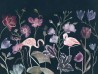 WONDERLAND AO-17 C