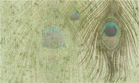 PEACOCK FEATHERS PC-31