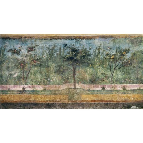 LIVIA SC-18 LIVIA SC-18