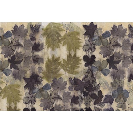 FOLIA GLXI191A FOLIA GLXI191A