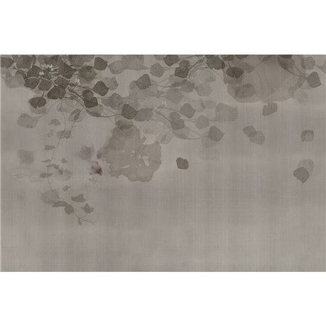 HANAMI GLXI562A HANAMI GLXI562A