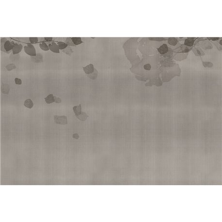 HANAMI GLXI562B HANAMI GLXI562B