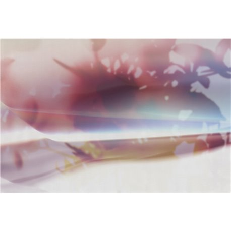 LUCID DREAM GLXI291A LUCID DREAM GLXI291A